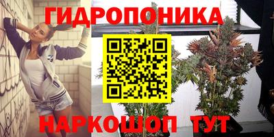 гидропоника Бугуруслан