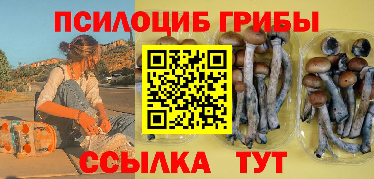 Псилоцибиновые грибы мухоморы Новороссийск